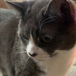 Meet your Posher, Cindy